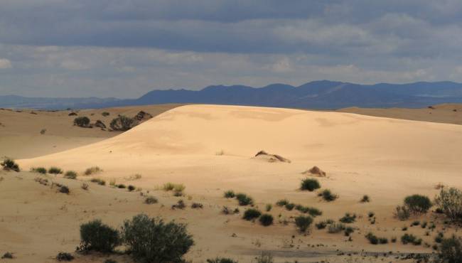 Sahara desert, North Africa