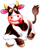 Hello, We. Indian cows. We are holy animals.
