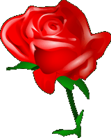A Rose For You My Darling