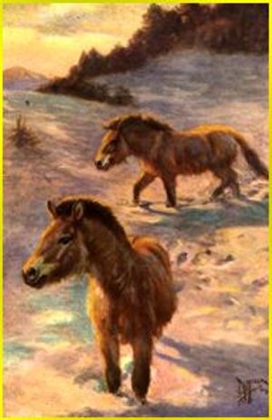 Scanned painting : Horses of World - Book, 1923