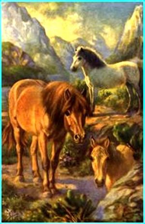 Scanned painting : Horses of World - Book, 1923