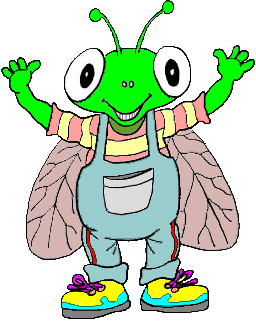Fly Fella